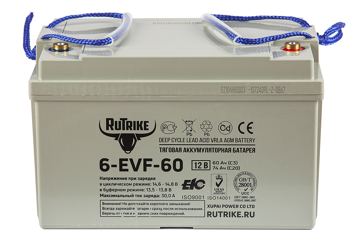 Тяговый аккумулятор RuTrike 6-EVF-60 (12V60A/H C3)