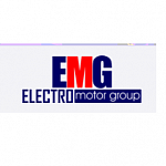 Electromotor Group