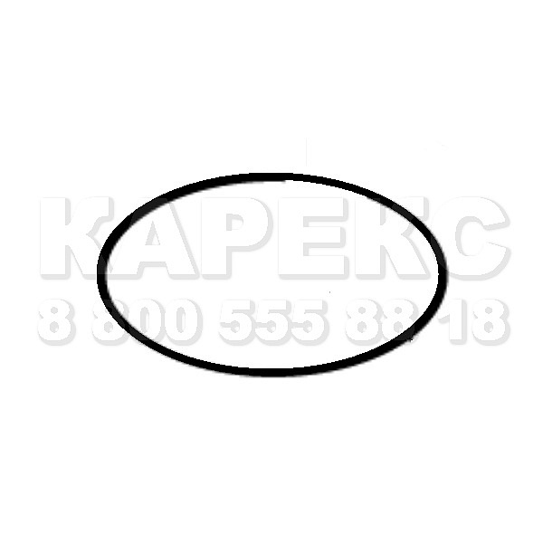 Karcher Уплотнительное кольцо, 72x2