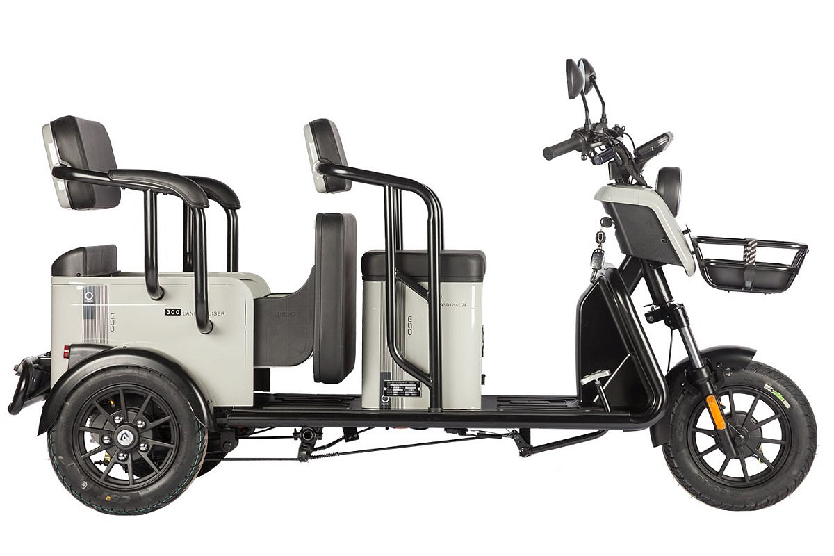 Электротрицикл Wanshida LC300 60V 1000Вт (Серый-3077)