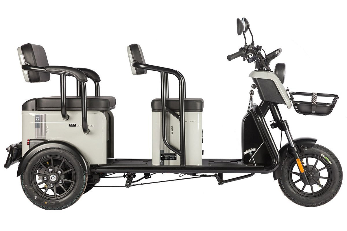 Электротрицикл Wanshida LC300 60V 1000Вт (Серый-3077)