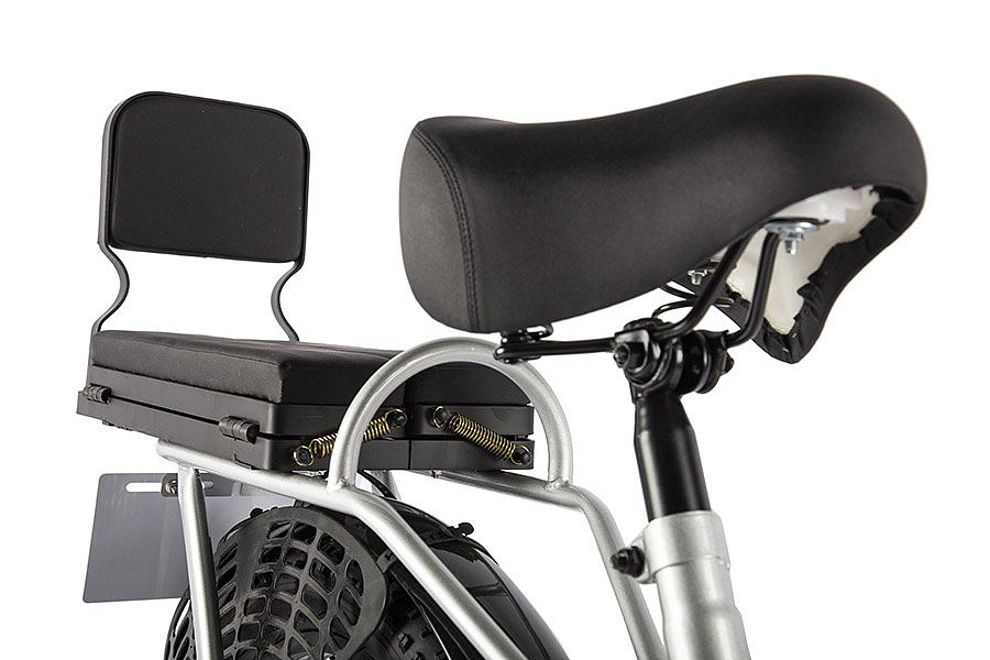 Электровелосипед GREEN CITY e-ALFA Fat (Черный-2160)