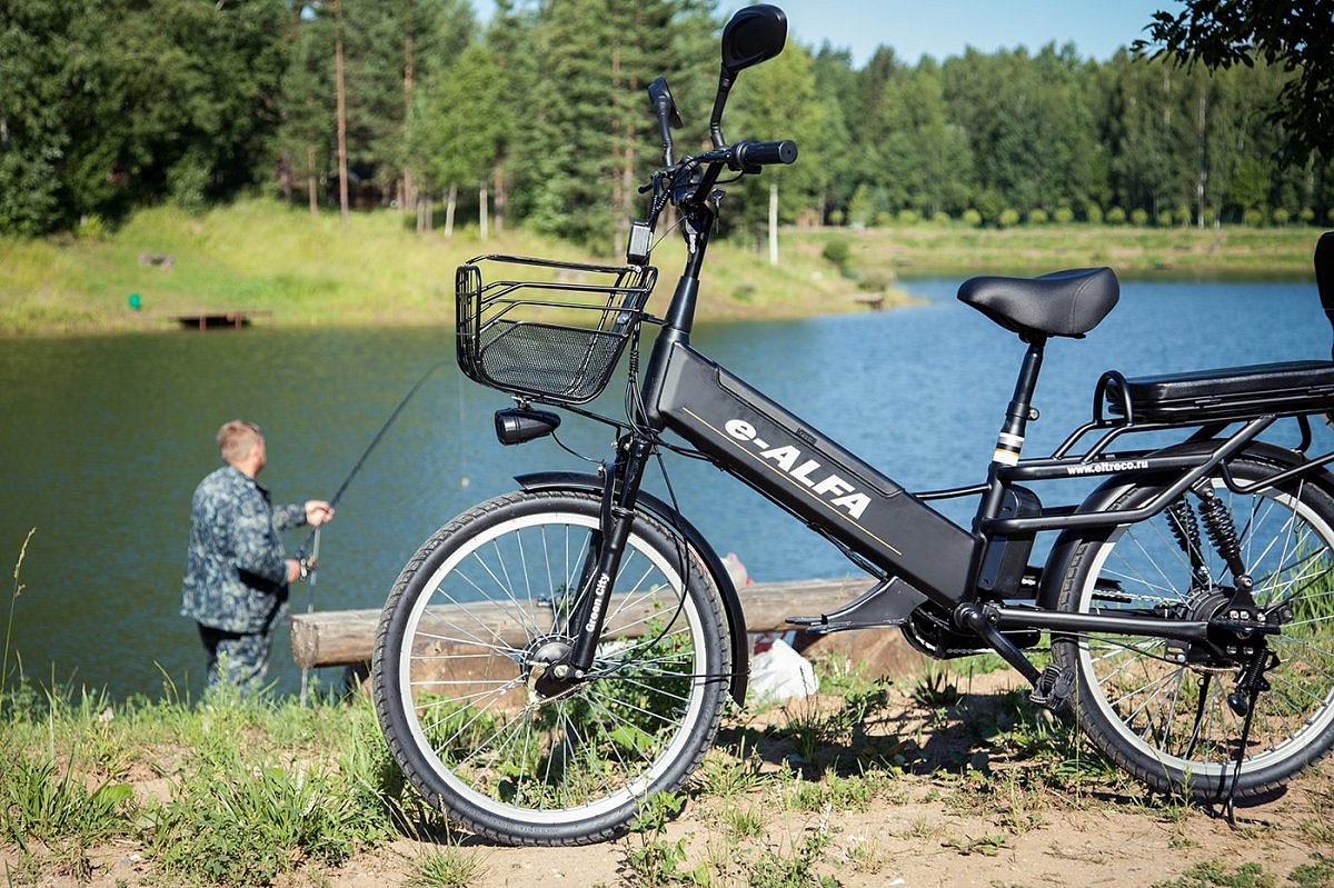 Велогибрид GREEN CITY e-ALFA GL 2019 (brown-0206)