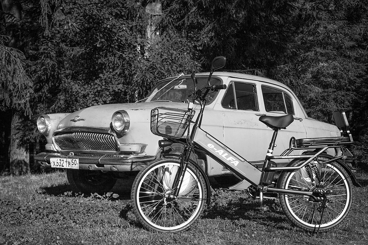 Велогибрид GREEN CITY e-ALFA GL 2019 (brown-0206)