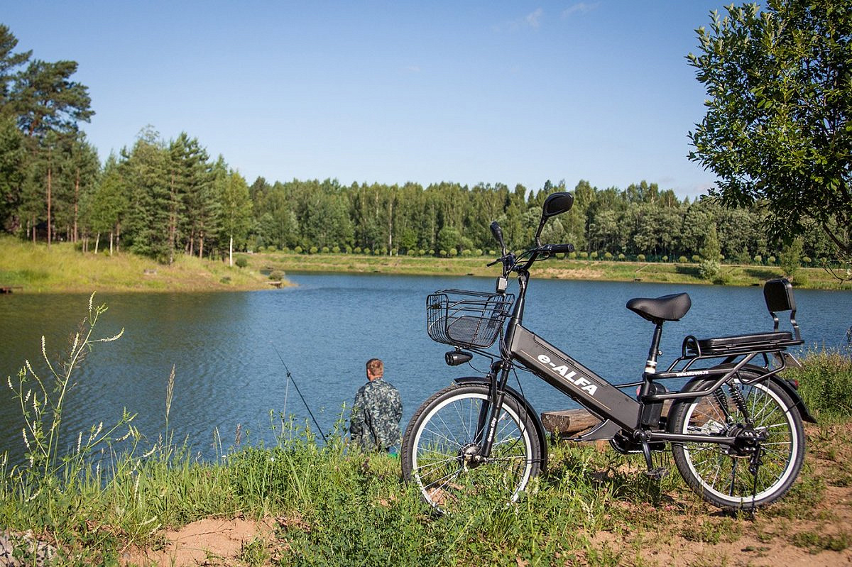 Велогибрид GREEN CITY e-ALFA GL 2019 (matt black-0333)