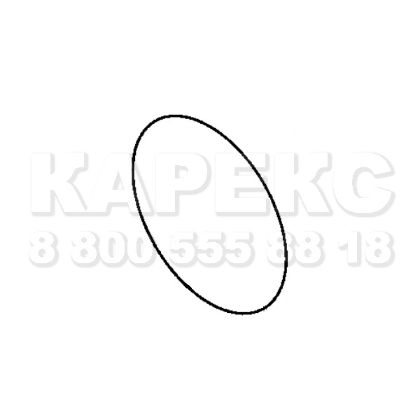Karcher Кольцо круглого сечения 160x5